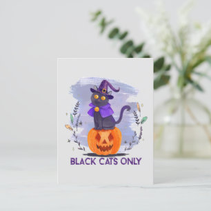 Black Cats Only – Witch Cat on Jack-O’-Lantern Postcard