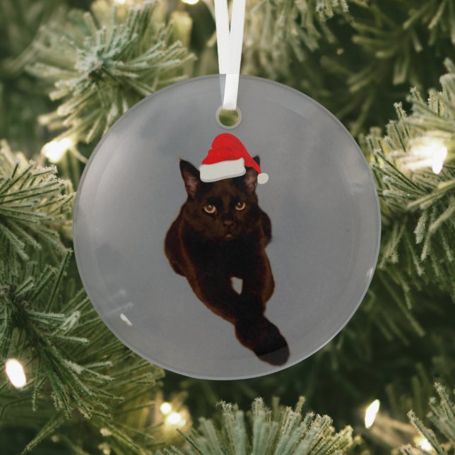 Black Cat's Photo Cutout with Santa Hat Grey Glass Tree Decoration (Insitu)