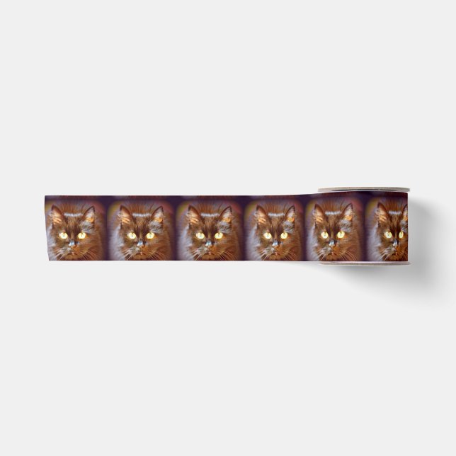 black cats satin ribbon (Front)