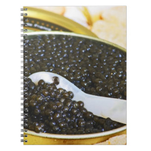 Black caviar and a spoon of mother-of-pearl to notebook