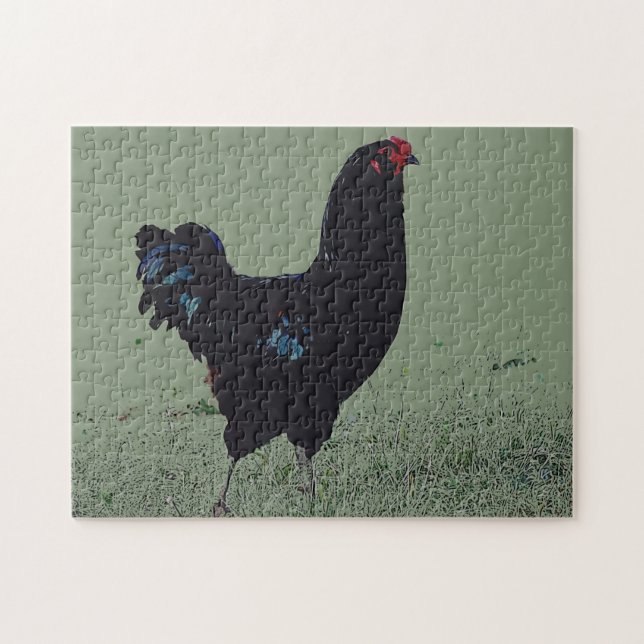 Black Chicken in the Grass Art Puzzle (Horizontal)