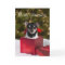 Black Chihuahua Christmas card