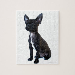 Black Chihuahua puppy Jigsaw Puzzle