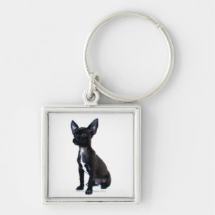 Black Chihuahua puppy Key Ring