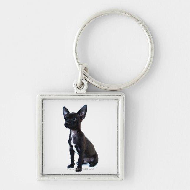 Black Chihuahua puppy Key Ring (Front)