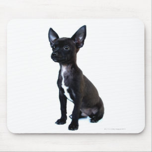 Black Chihuahua puppy Mouse Mat