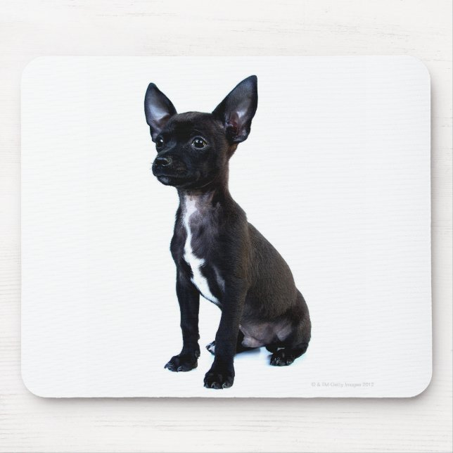 Black Chihuahua puppy Mouse Mat (Front)