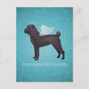 Black Chinese Shar Pei Pet Memorial and Sympathy Postcard