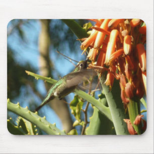 Black-Chinned Hummingbird in Flight Mouse Mat