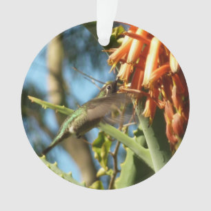 Black-Chinned Hummingbird in Flight Ornament