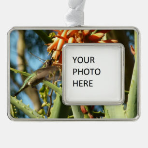 Black-Chinned Hummingbird in Flight Silver Plated Framed Ornament