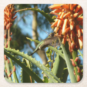Black-Chinned Hummingbird in Flight Square Paper Coaster