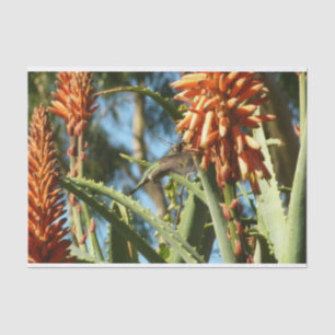 Black-Chinned Hummingbird in Flight Tissue Paper