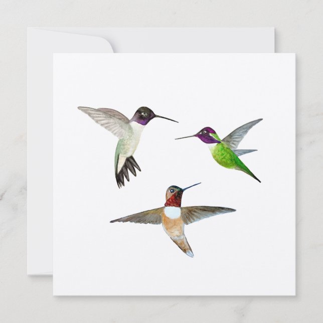 Black-chinned, Rufous and Anna's Hummingbirds Thank You Card (Front)