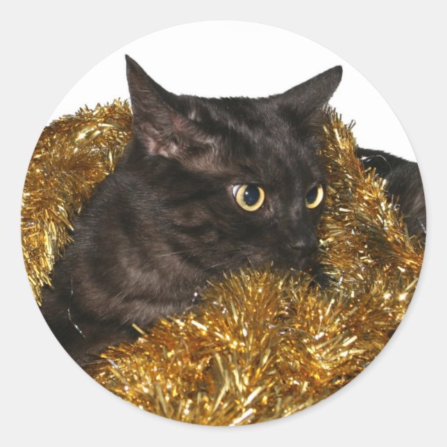 Black Christmas cat Classic Round Sticker (Front)