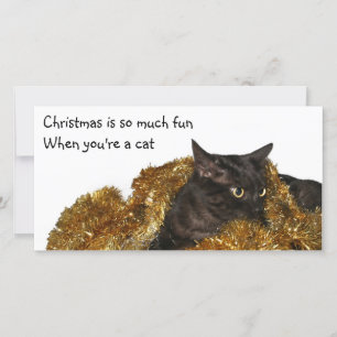 Black Christmas cat Holiday Card