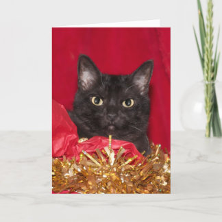 Black Christmas cat Holiday Card