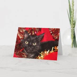 Black Christmas cat Holiday Card