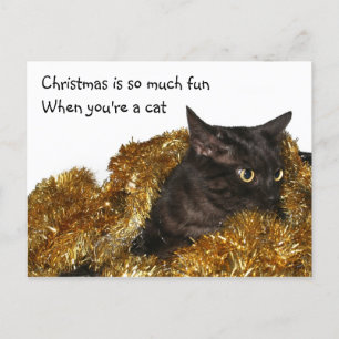 Black Christmas cat Holiday Postcard