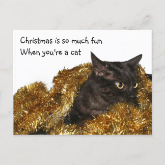 Black Christmas cat Holiday Postcard
