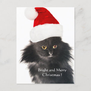 BLACK CHRISTMAS CAT WITH SANTA CLAUS HAT HOLIDAY POSTCARD
