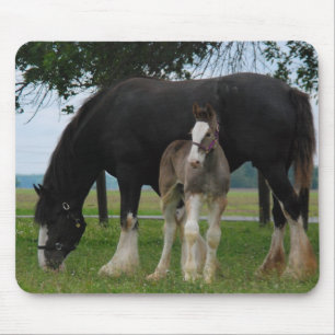 Black Clydesdale and Filly Mouse Mat