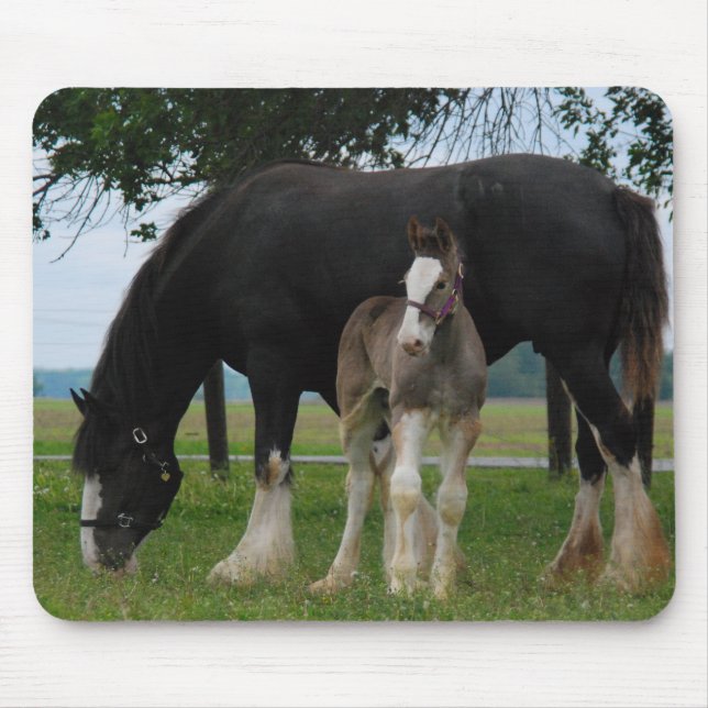 Black Clydesdale and Filly Mouse Mat (Front)