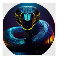 black Cobra Snake In Your Face