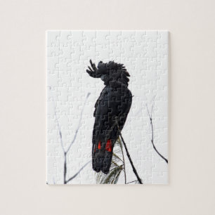 BLACK COCKATOO QUEENSLAND AUSTRALIA JIGSAW PUZZLE