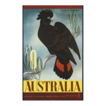 Black Cockatoo Vintage Poster