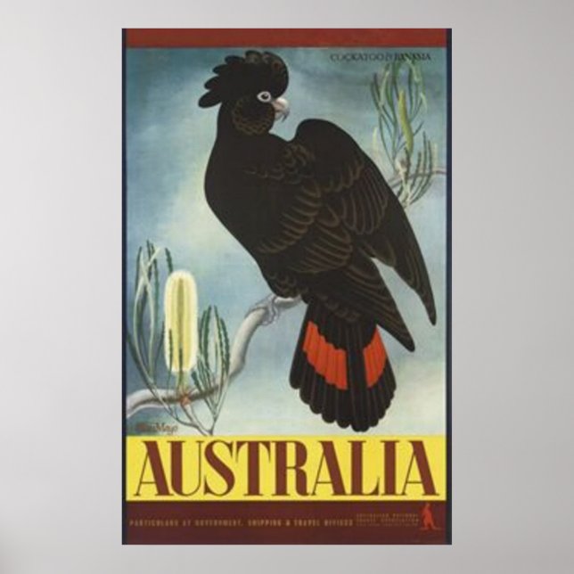 Black Cockatoo Vintage Poster (Front)