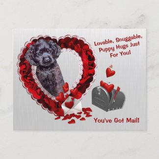 Black Cocker Spaniel #2 You've Got Mail Puppy Hugs Holiday Postcard