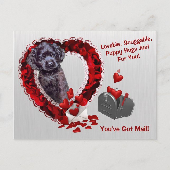 Black Cocker Spaniel #2 You've Got Mail Puppy Hugs Holiday Postcard (Front)
