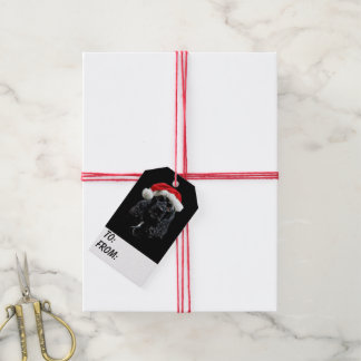 Black Cocker Spaniel Christmas Gift Tags