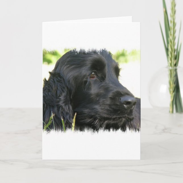Black Cocker Spaniel Dog Greeting Card (Front)