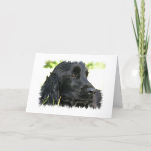 Black Cocker Spaniel Dog Greeting Card