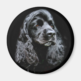 Black Cocker Spaniel Magnet