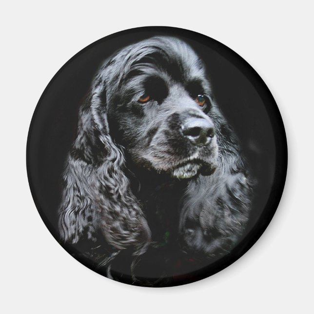 Black Cocker Spaniel Magnet (Front)