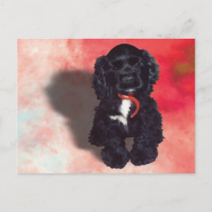 Black Cocker Spaniel Puppy - Abby Postcard
