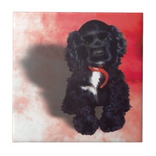Black Cocker Spaniel Puppy - Abby Tile