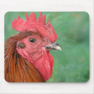 Black Copper Maran Rooster Mouse Mat