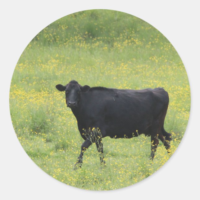 Black Cow_0075 Classic Round Sticker (Front)