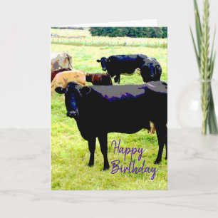 Black cow Birthday card