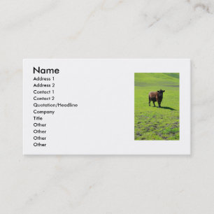 Black Cow Business Card