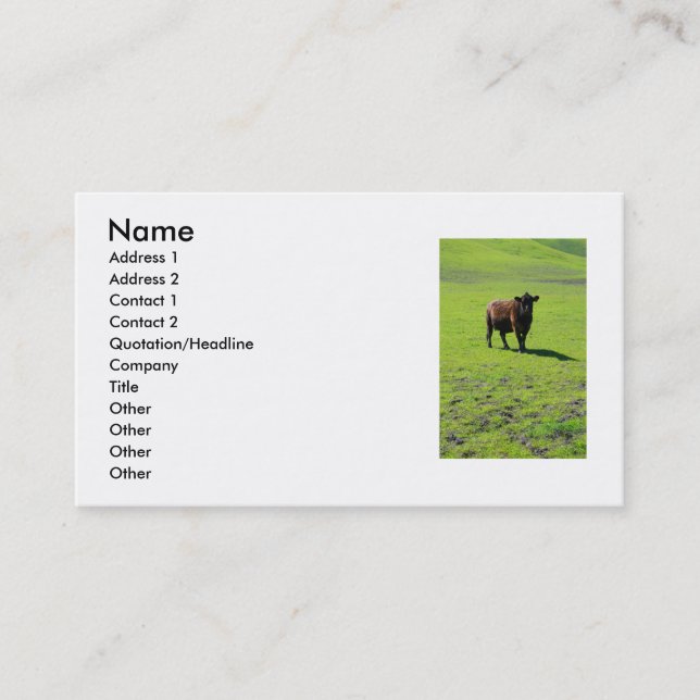 Black Cow Business Card (Front)