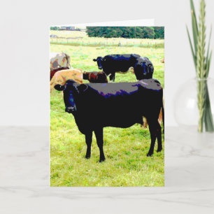 Black cow card