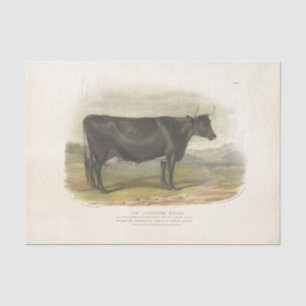 Black Cow Ephemera Decoupage Vintage Farm Tissue Paper