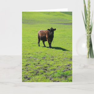 Black Cow Greeting Card,Note Card