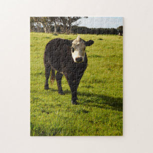 Black Cow With White Face, Jigsaw Puzzle