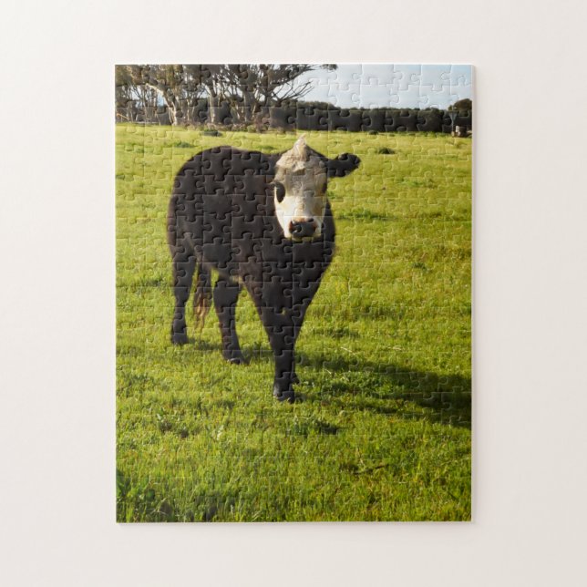 Black Cow With White Face, Jigsaw Puzzle (Vertical)